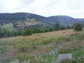 Nasze pociechy